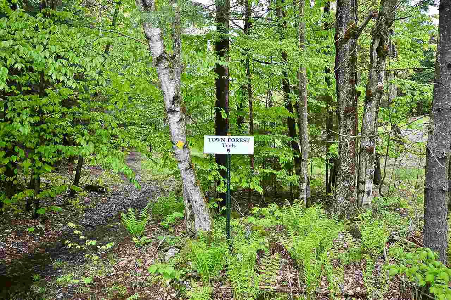 4 Hastings Road Waitsfield VT 05673