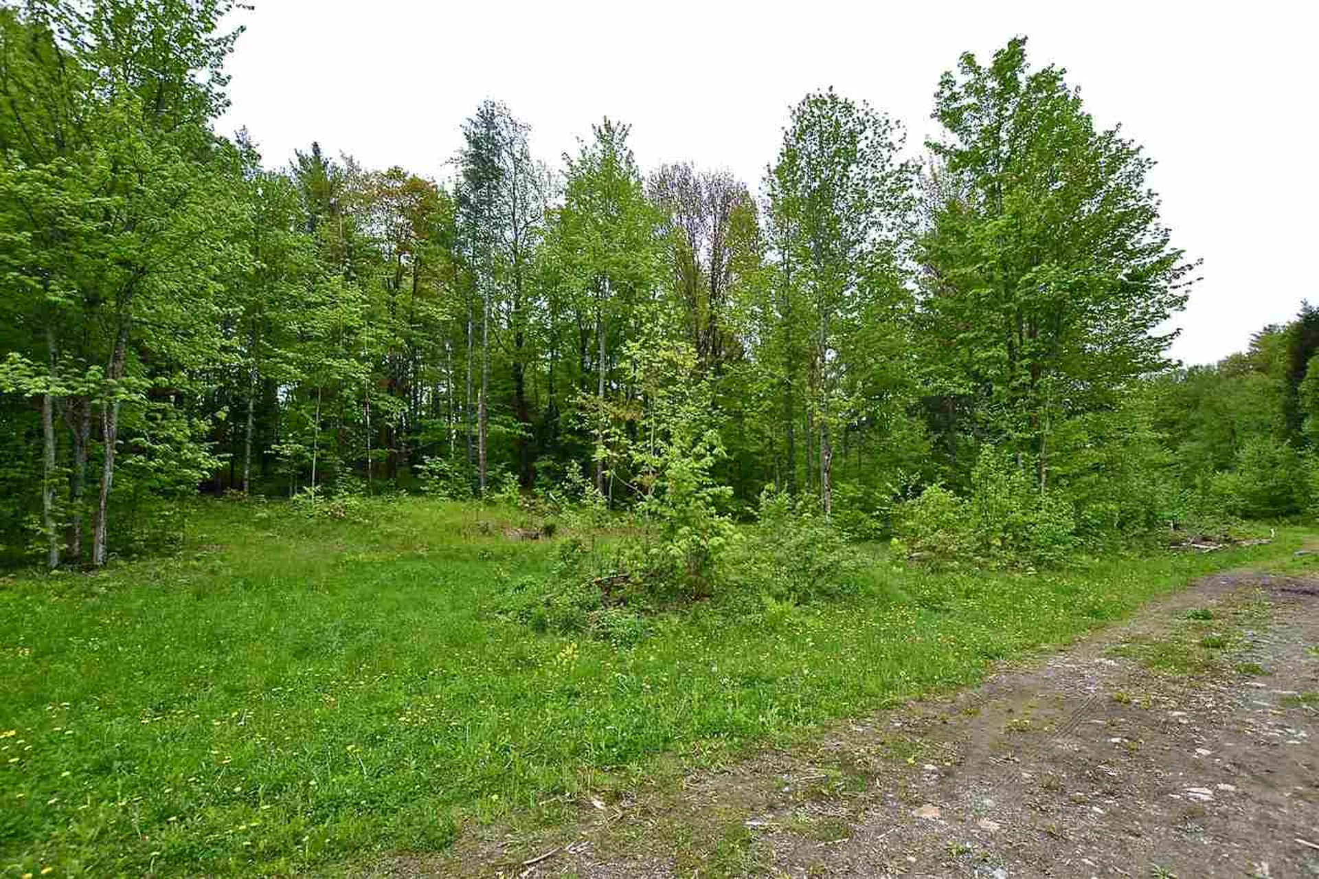 4 Hastings Road Waitsfield VT 05673