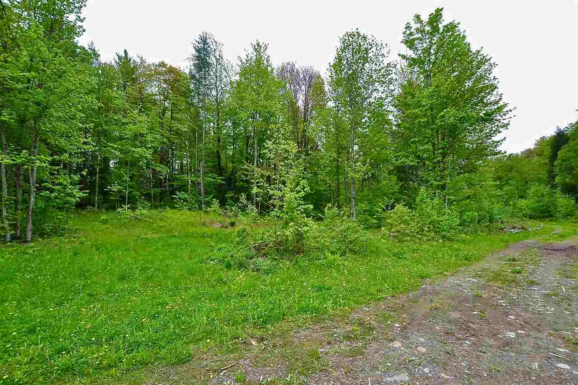 4 Hastings Road Waitsfield VT 05673