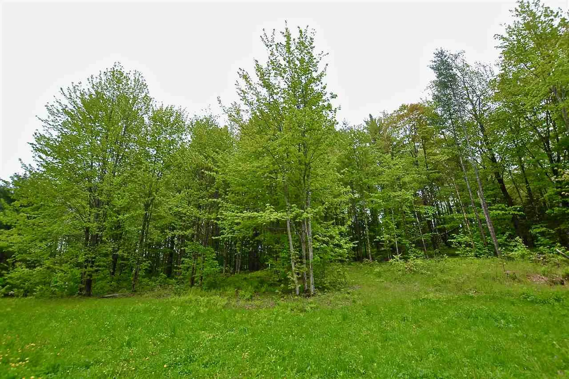 4 Hastings Road Waitsfield VT 05673