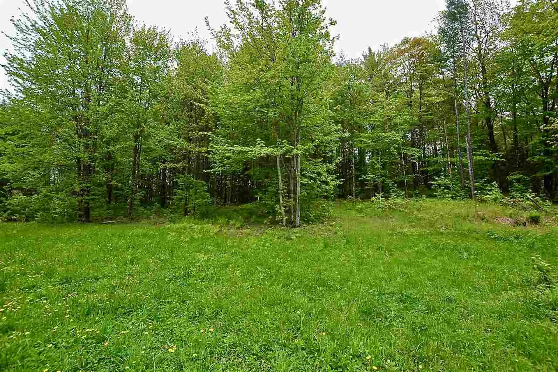 4 Hastings Road Waitsfield VT 05673