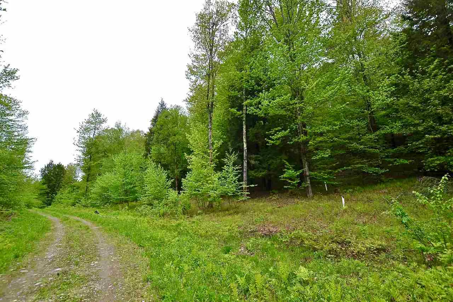 4 Hastings Road Waitsfield VT 05673