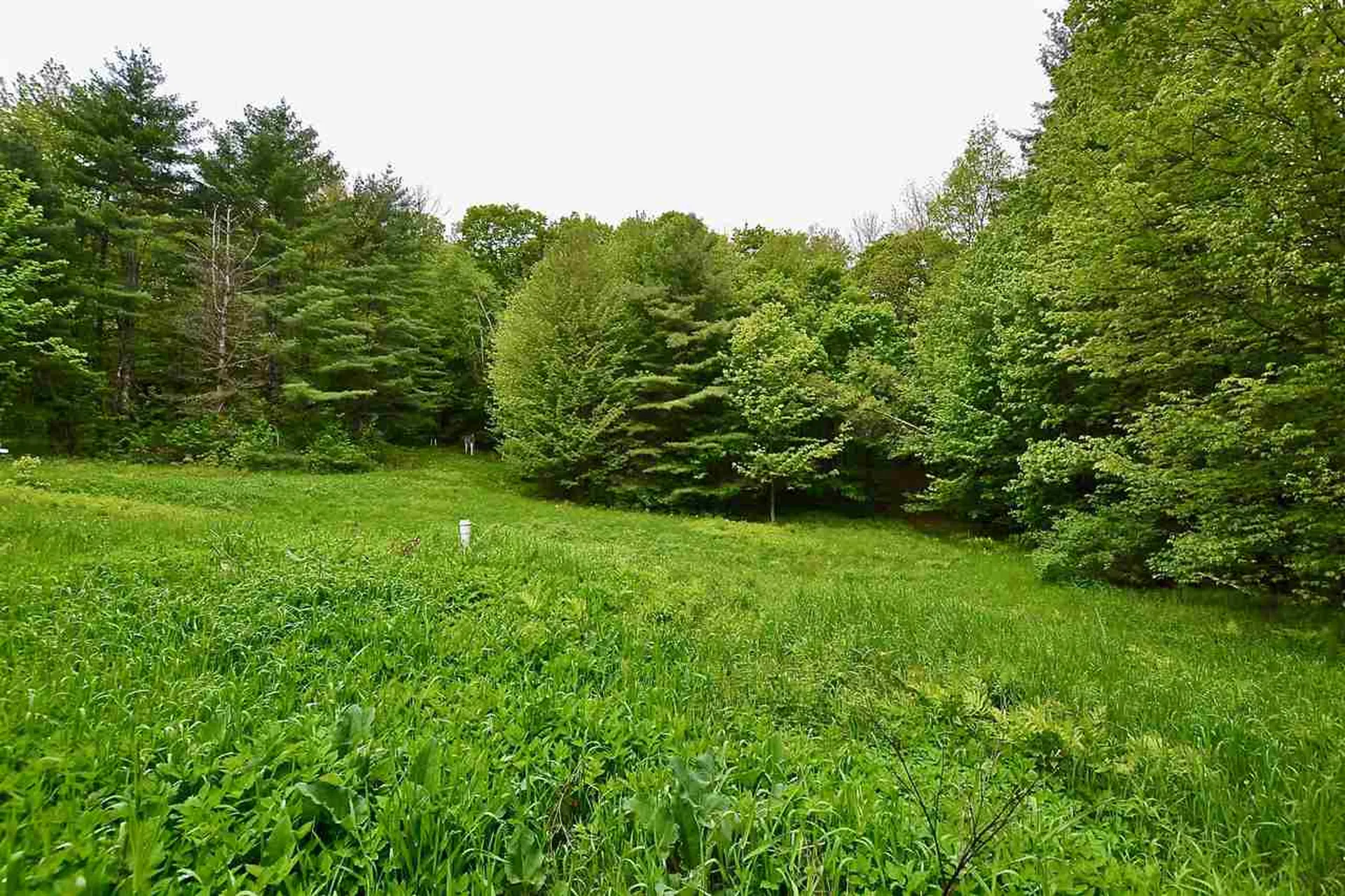 4 Hastings Road Waitsfield VT 05673