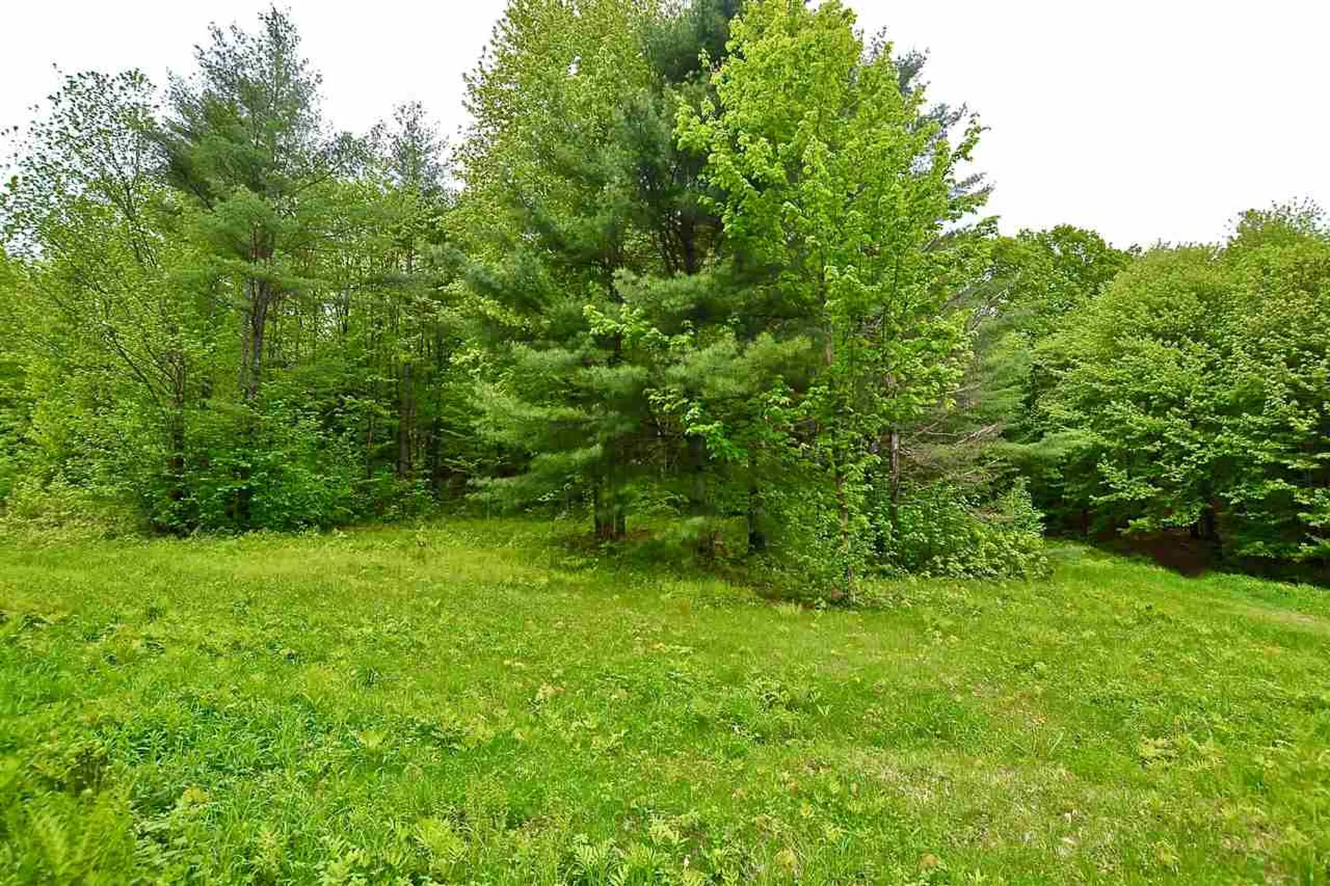 4 Hastings Road Waitsfield VT 05673
