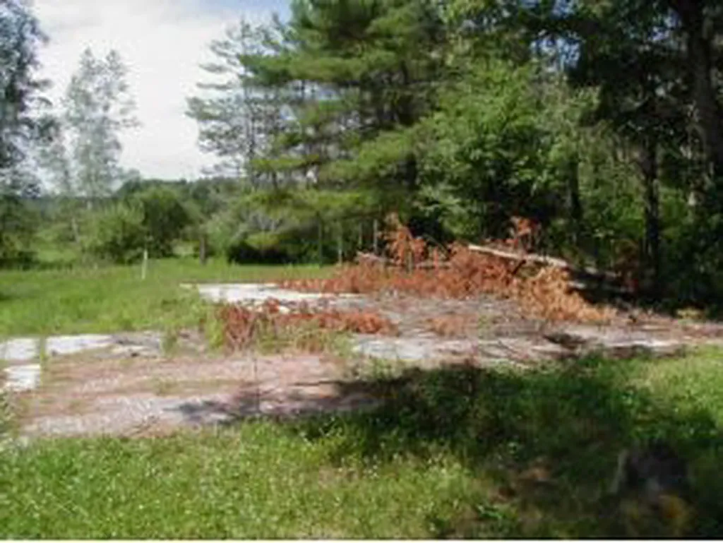 155 Goose Pond Road Canaan NH 03741