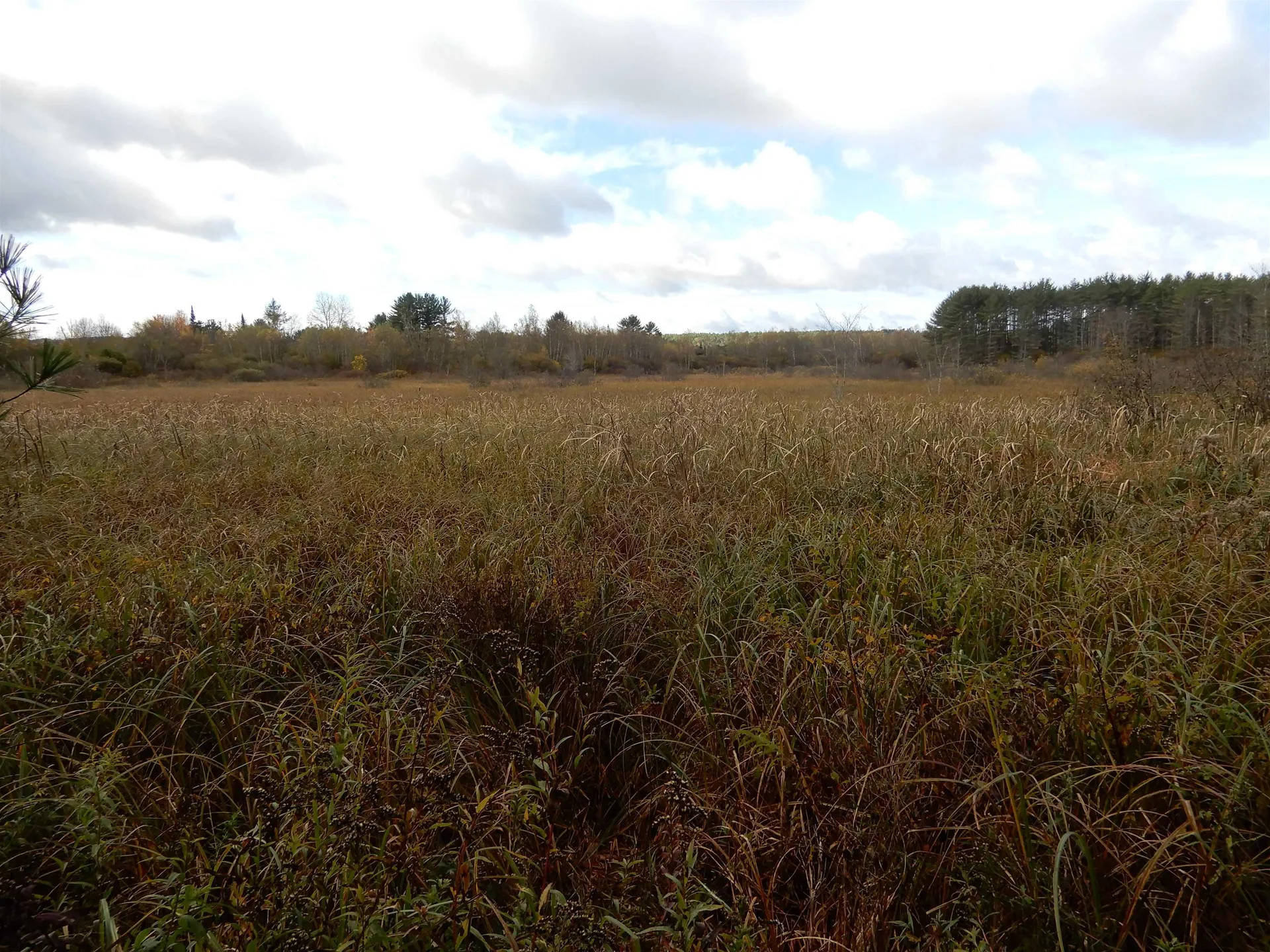155 Goose Pond Road Canaan NH 03741