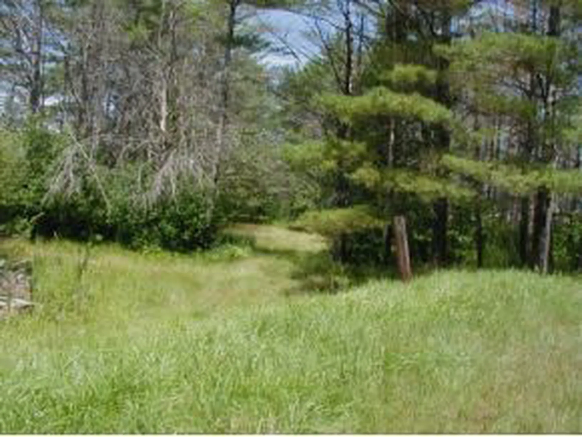 155 Goose Pond Road Canaan NH 03741