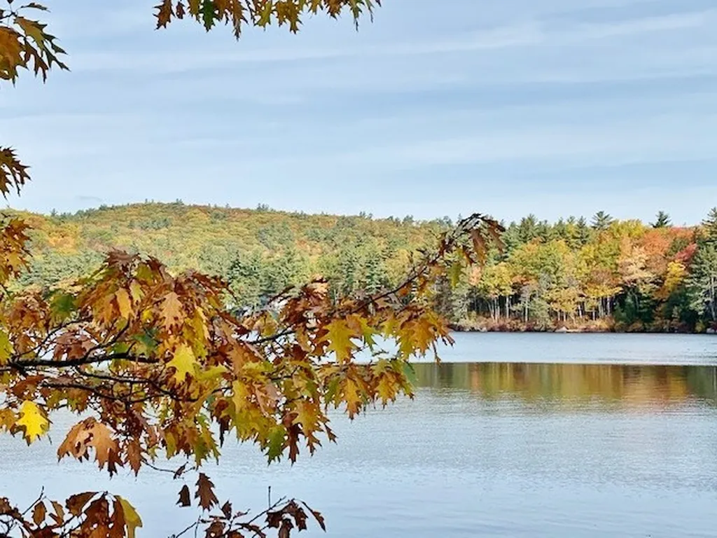 86 Miller Road New Durham NH 03855