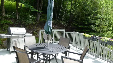 27 Theresa Lane Wilmington VT 05363