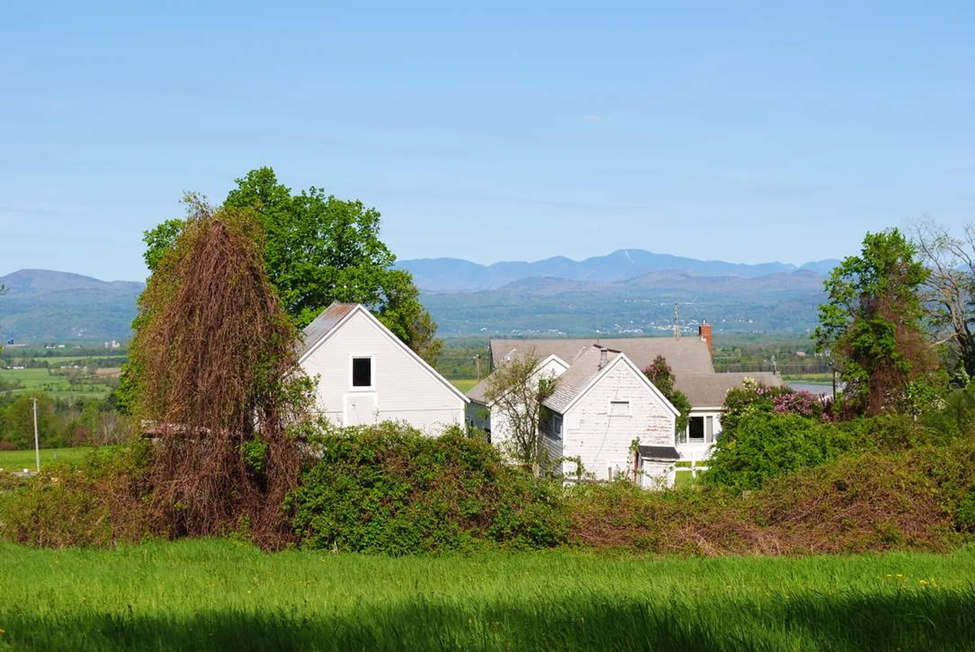 2574 East Street Bridport VT 05734