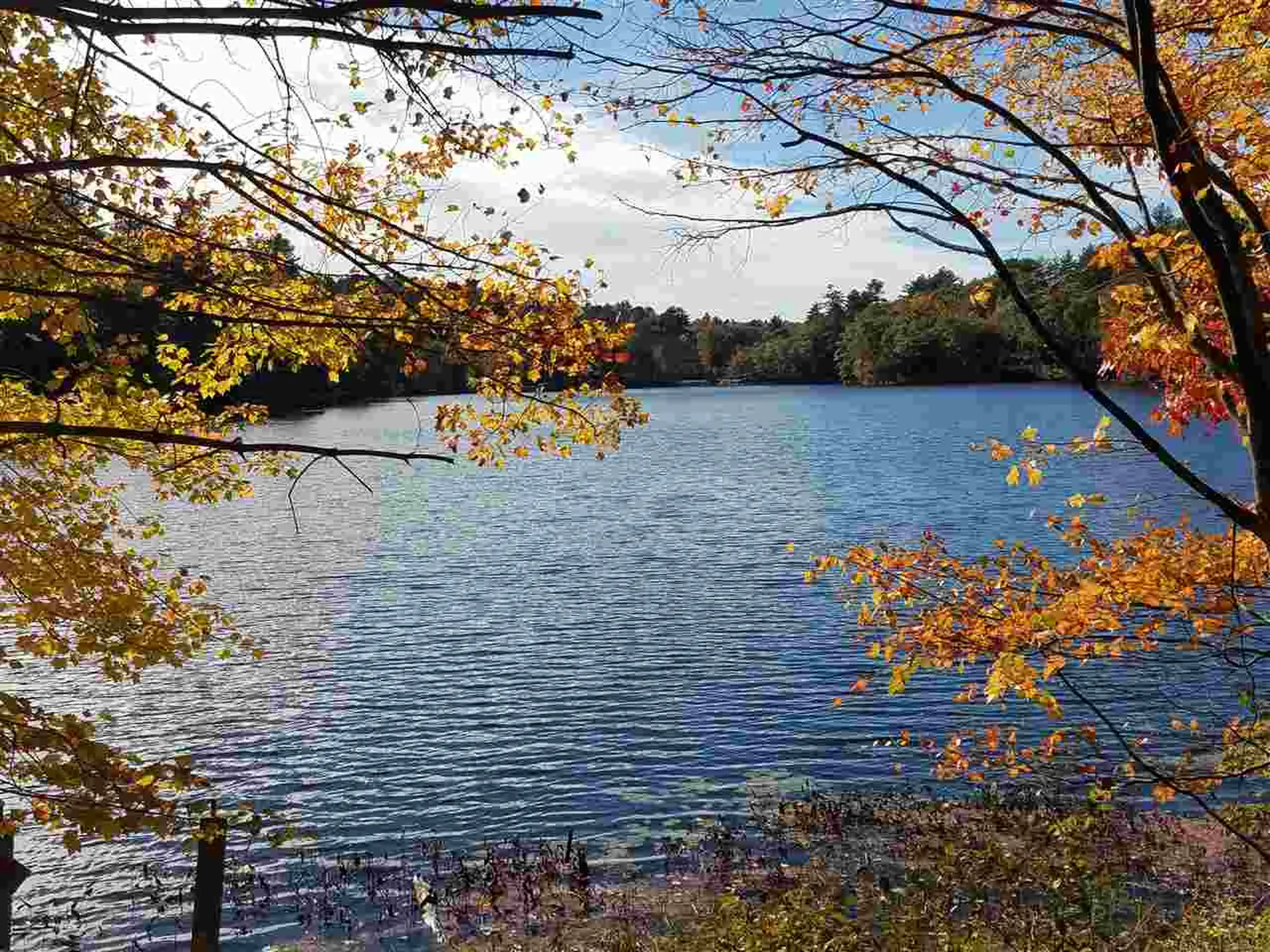 90 Rainbow Drive Loudon NH 03307