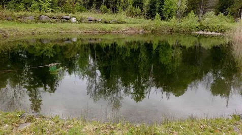 3138 Duck Pond Road Barton VT 05822