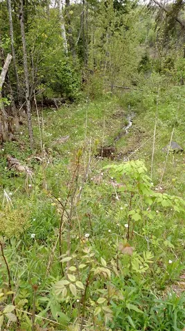 3138 Duck Pond Road Barton VT 05822