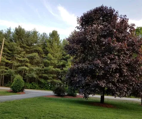 7 Campbell Drive Litchfield NH 03052