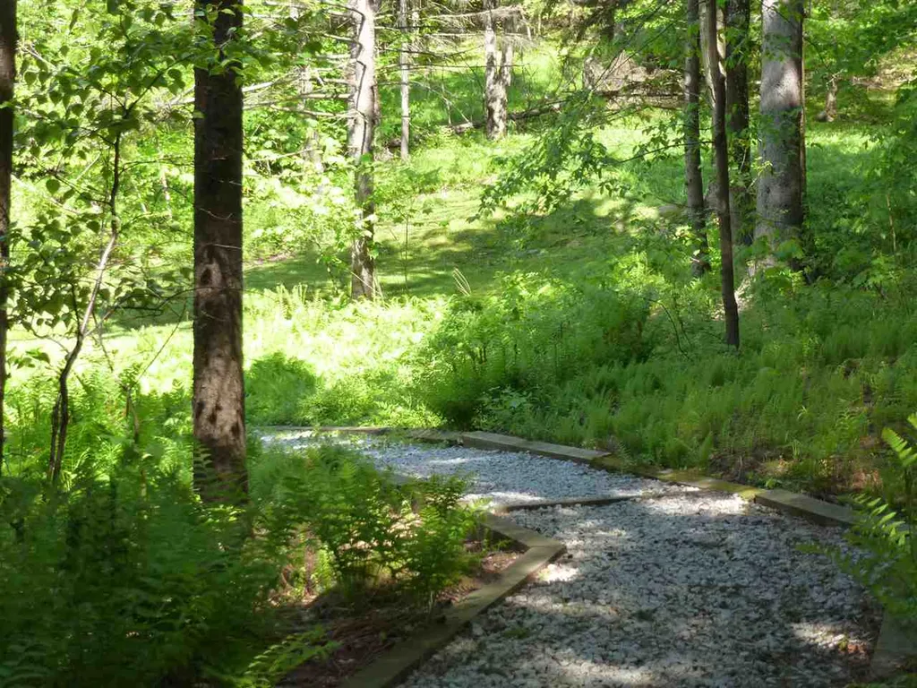 169 Triview Drive Warren VT 05674