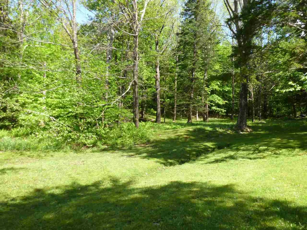 169 Triview Drive Warren VT 05674