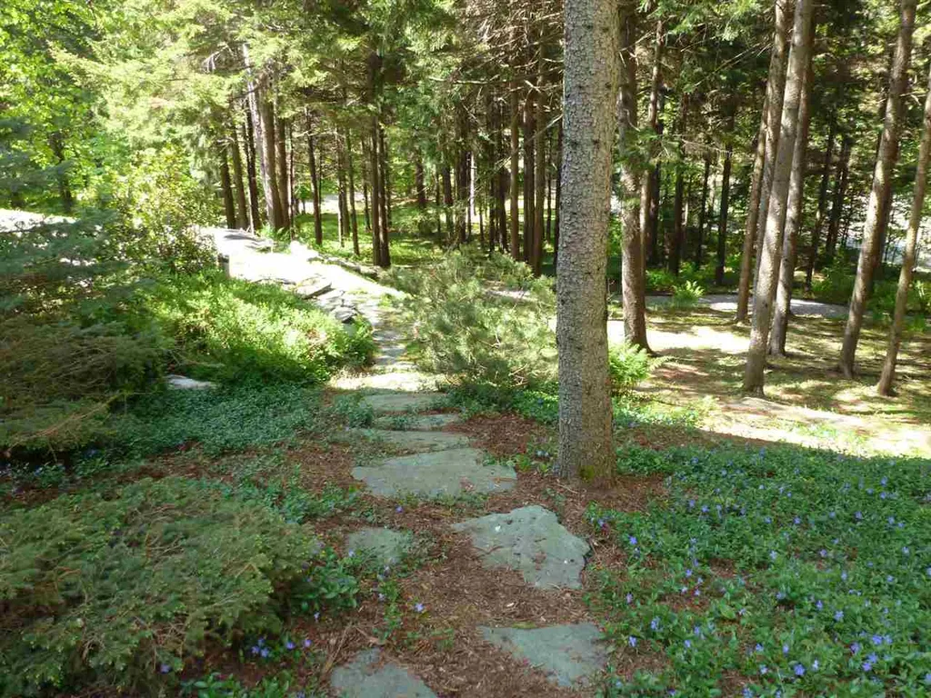 169 Triview Drive Warren VT 05674