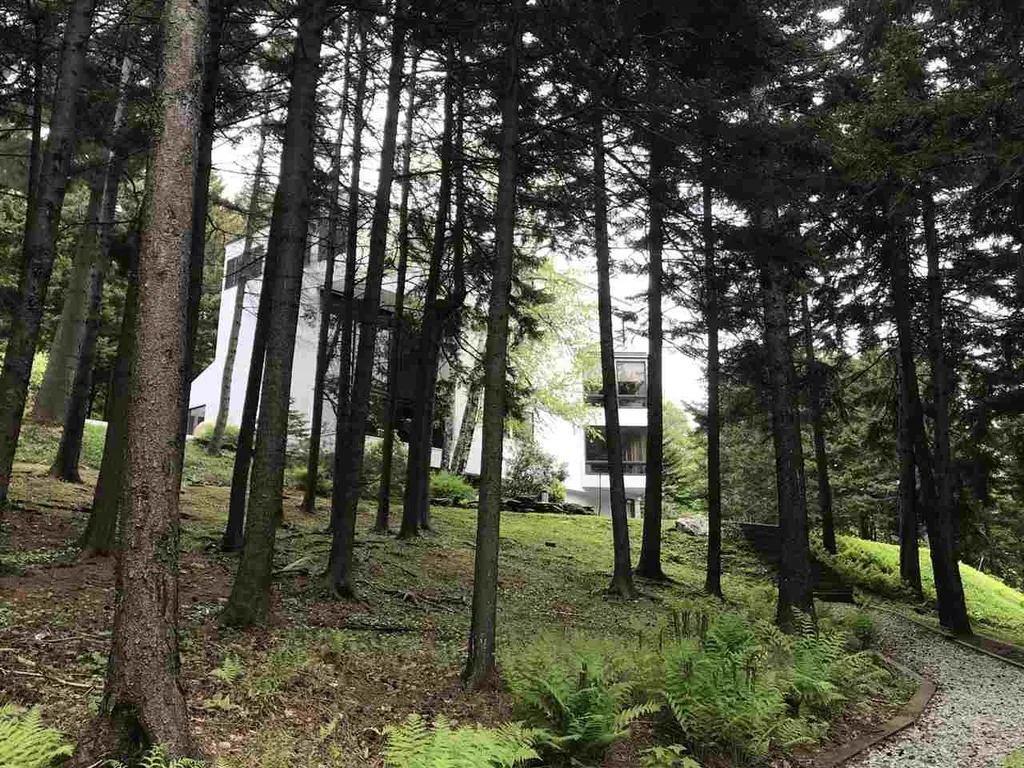 169 Triview Drive Warren VT 05674