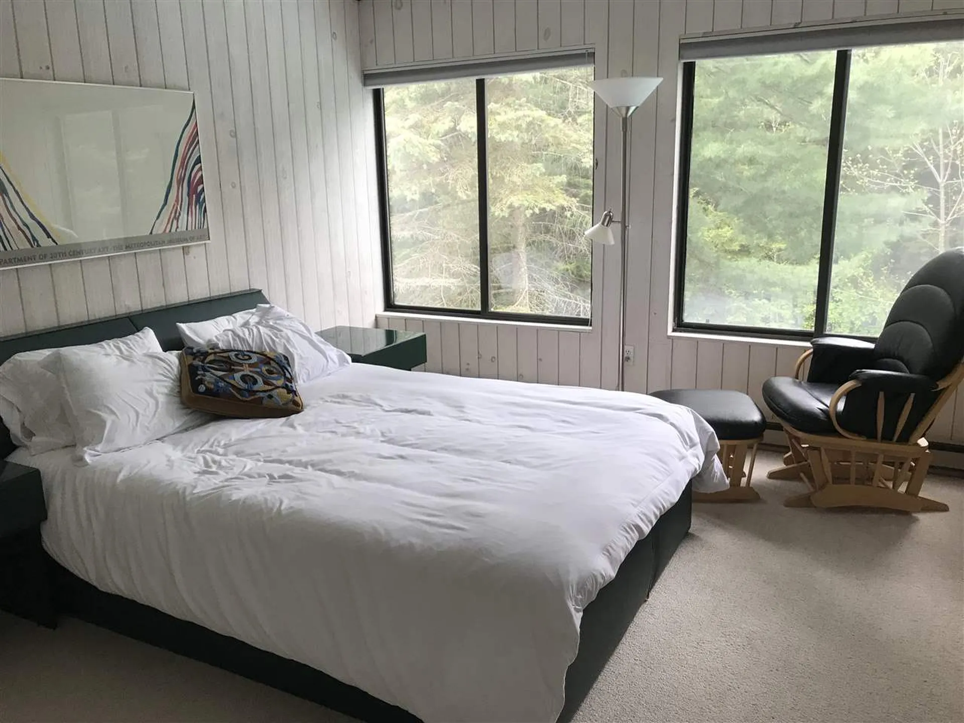 169 Triview Drive Warren VT 05674