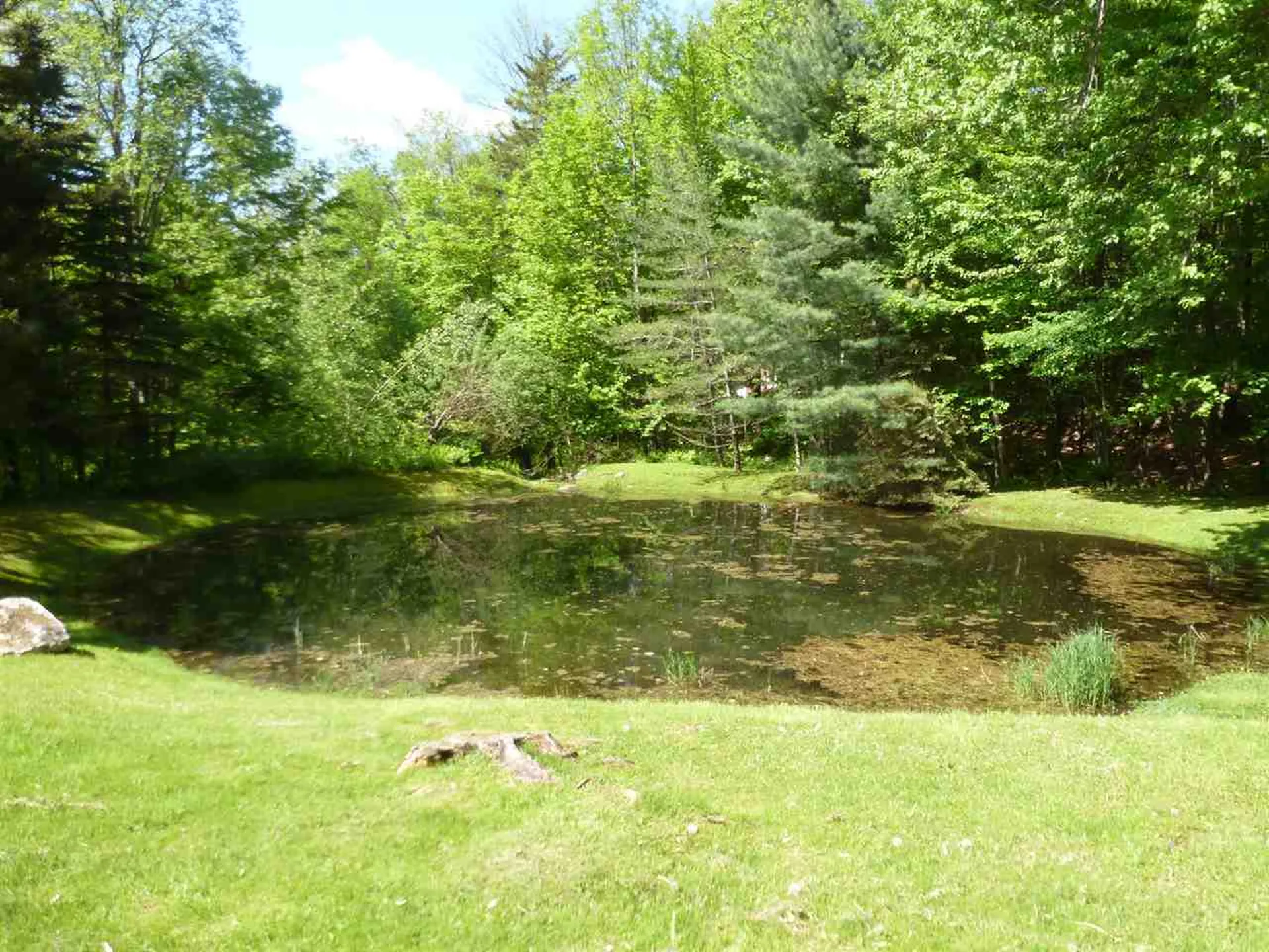 169 Triview Drive Warren VT 05674