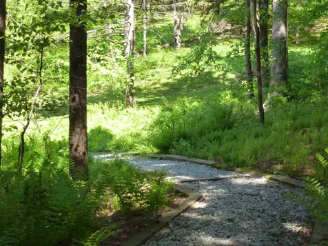 169 Triview Drive Warren VT 05674