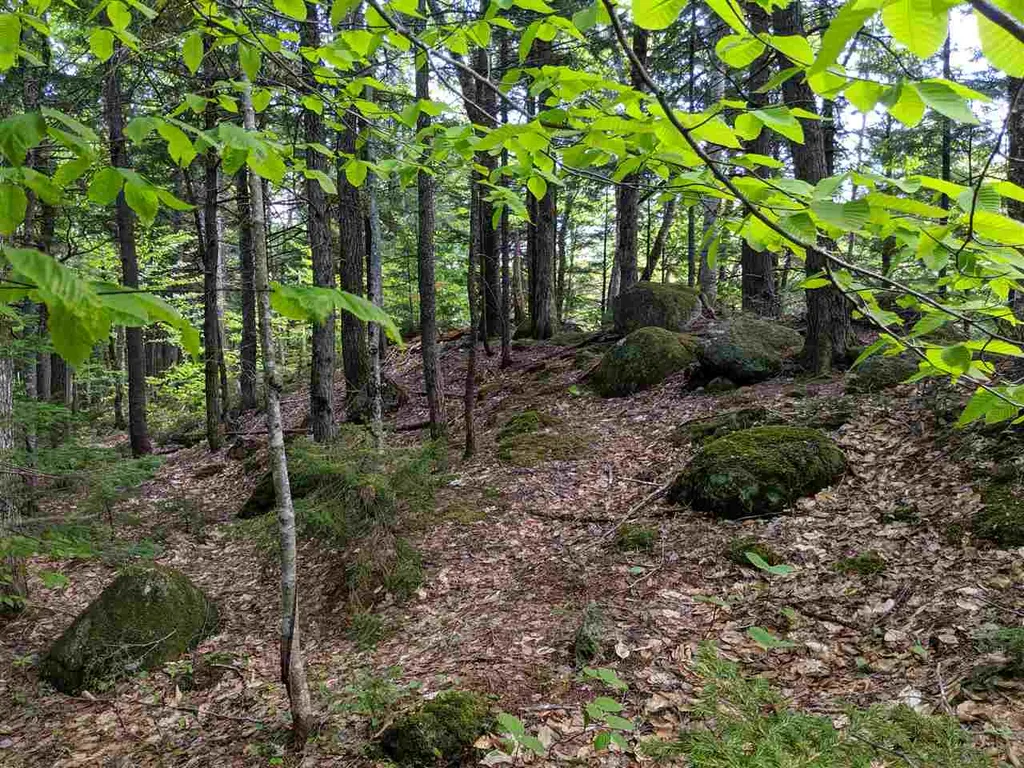 1 Whipple Drive Jackson NH 03846