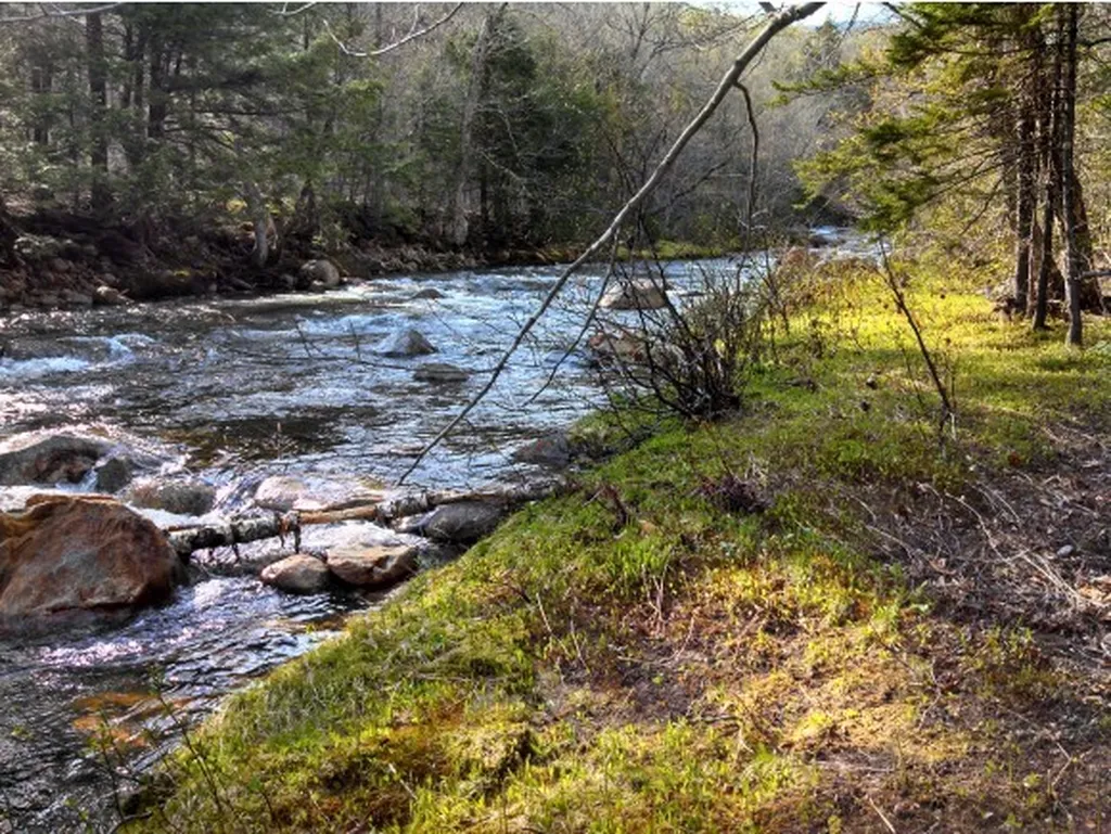 1 Whipple Drive Jackson NH 03846