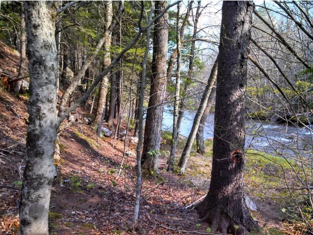 1 Whipple Drive Jackson NH 03846