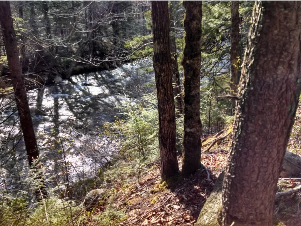 1 Whipple Drive Jackson NH 03846
