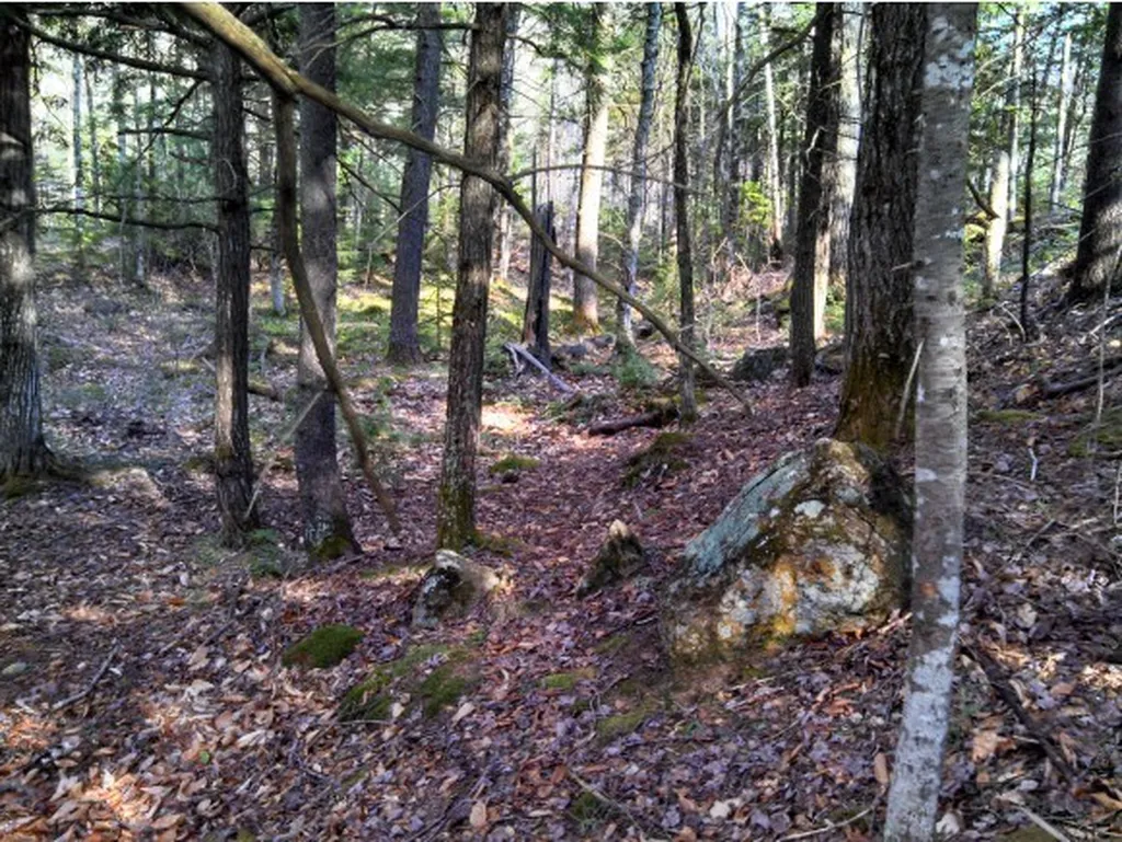 1 Whipple Drive Jackson NH 03846