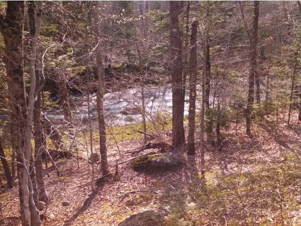 1 Whipple Drive Jackson NH 03846