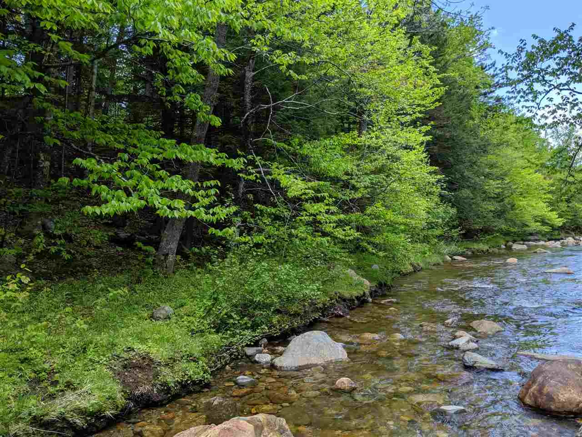1 Whipple Drive Jackson NH 03846