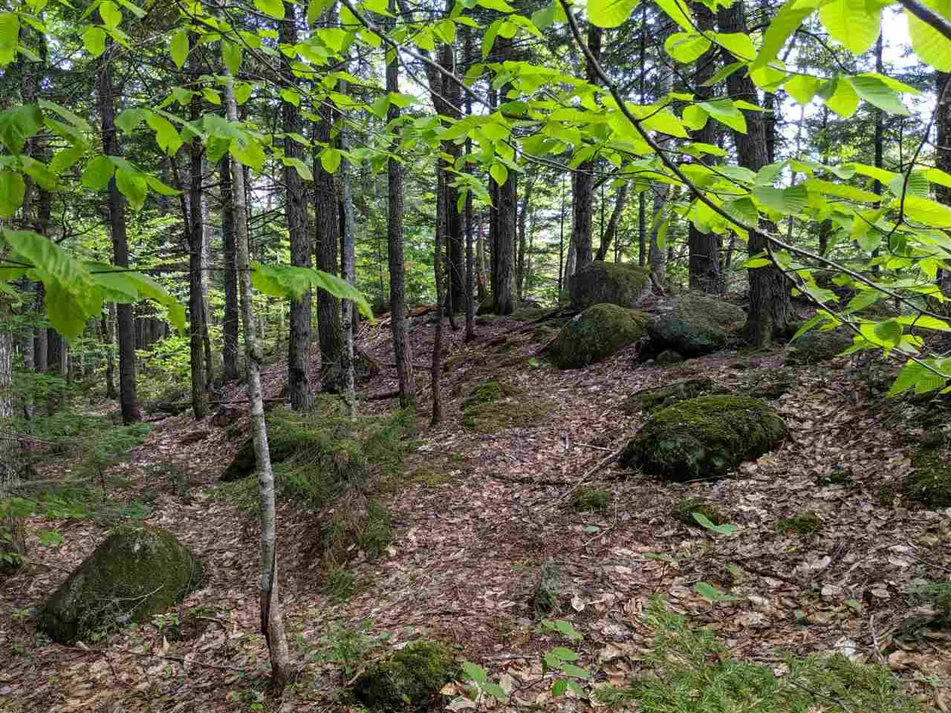 1 Whipple Drive Jackson NH 03846