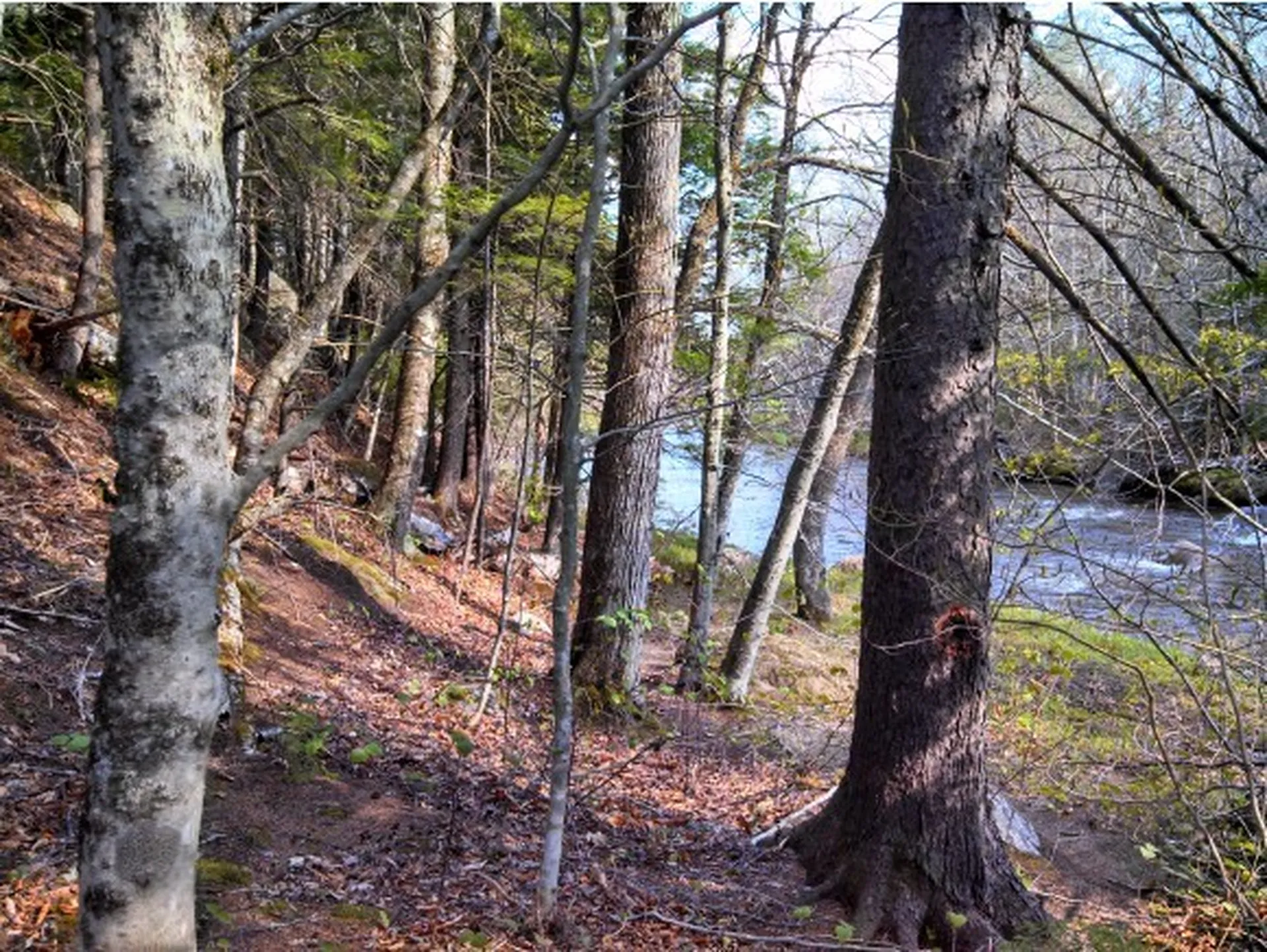 1 Whipple Drive Jackson NH 03846