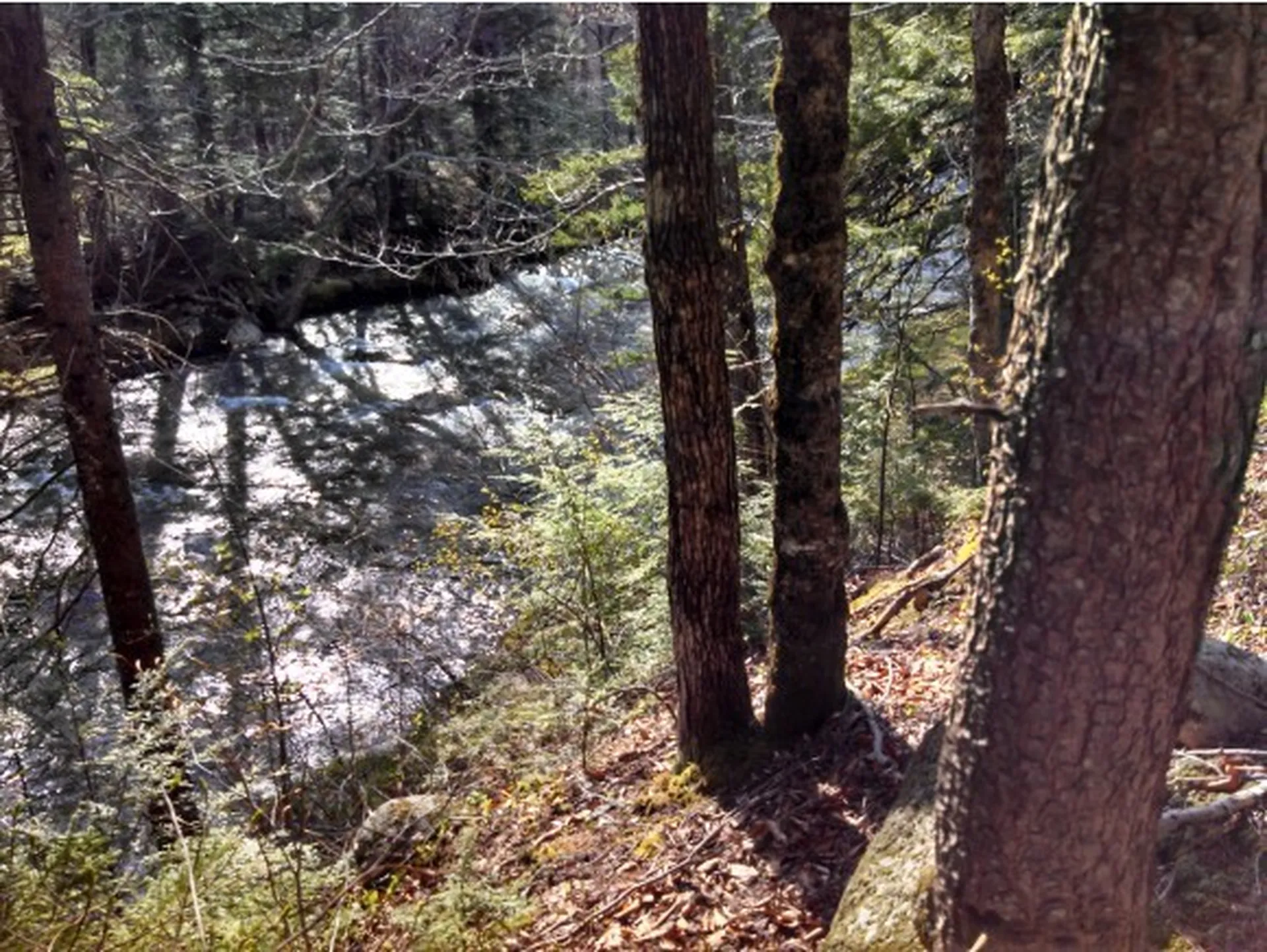 1 Whipple Drive Jackson NH 03846