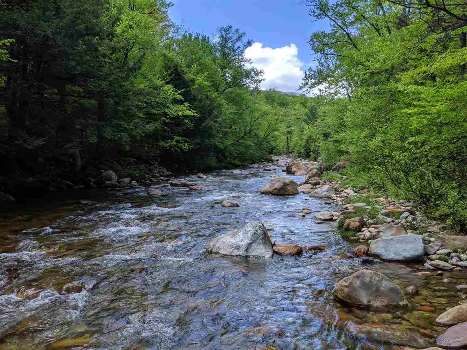 1 Whipple Drive Jackson NH 03846