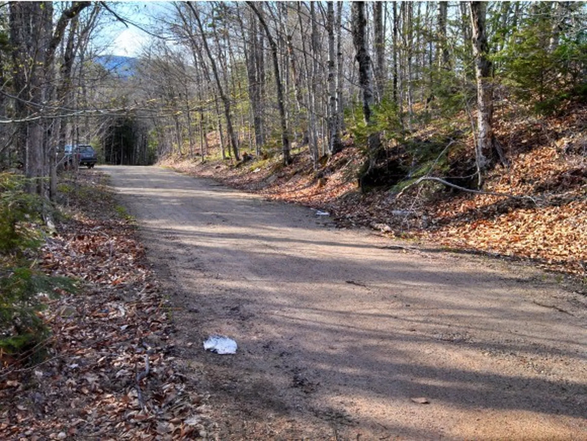 1 Whipple Drive Jackson NH 03846