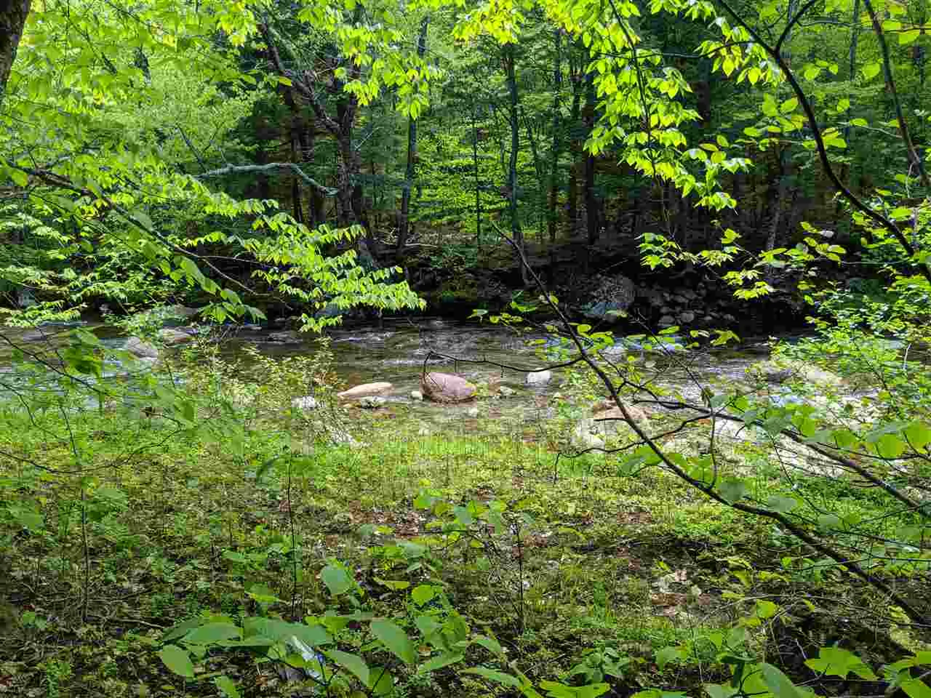 1 Whipple Drive Jackson NH 03846