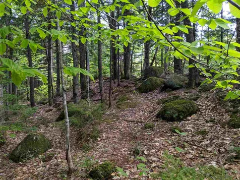 1 Whipple Drive Jackson NH 03846