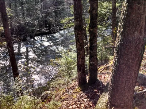 1 Whipple Drive Jackson NH 03846