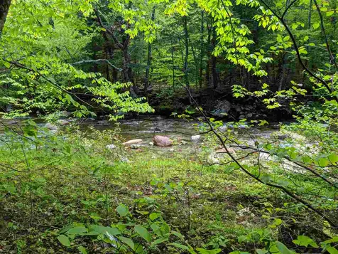 1 Whipple Drive Jackson NH 03846