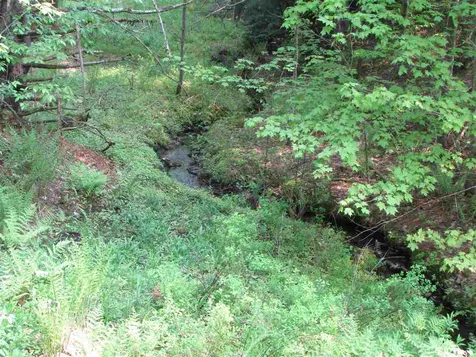 `114 Tallman Road Hyde Park VT 05655