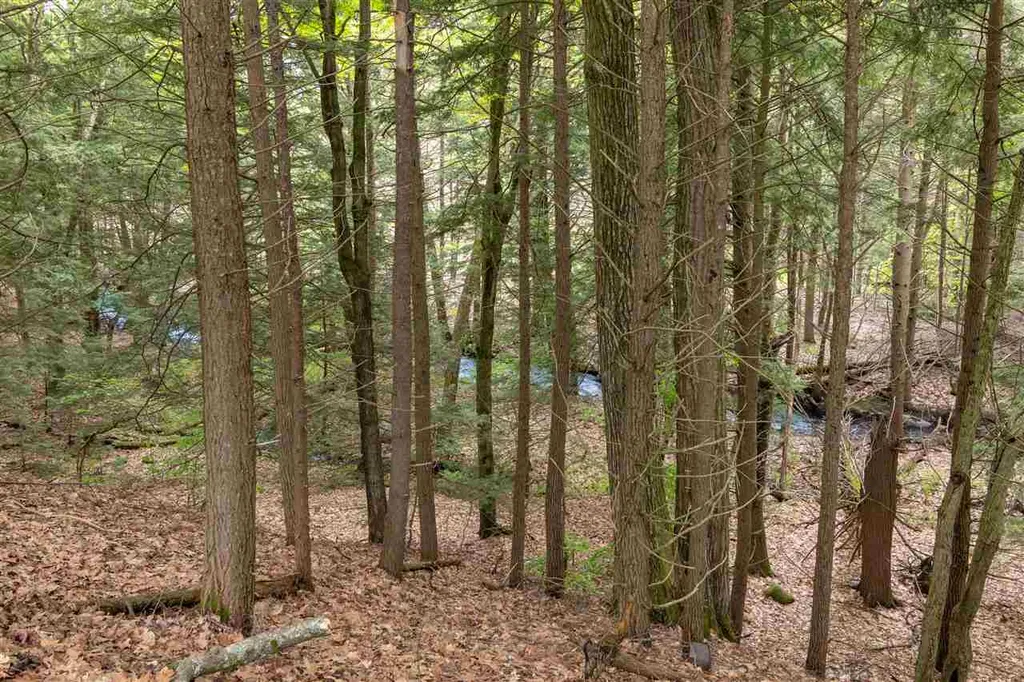 97 Liberty Hill Road Gilford NH 03249