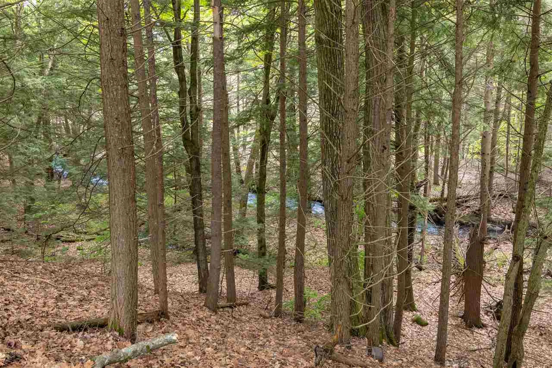 97 Liberty Hill Road Gilford NH 03249