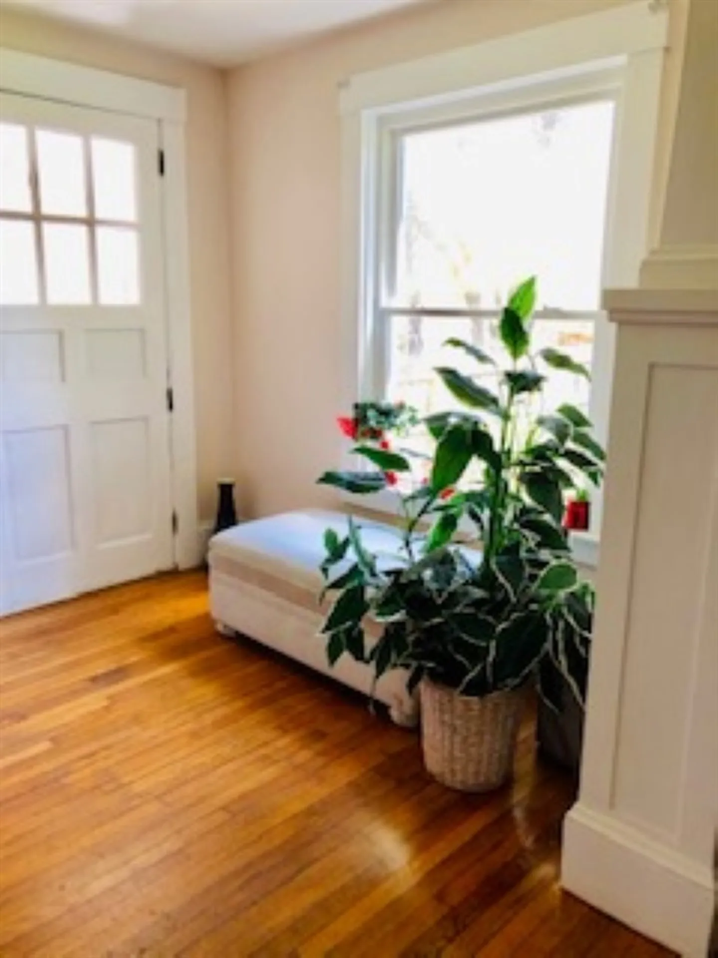 38 Perham Street Keene NH 03431