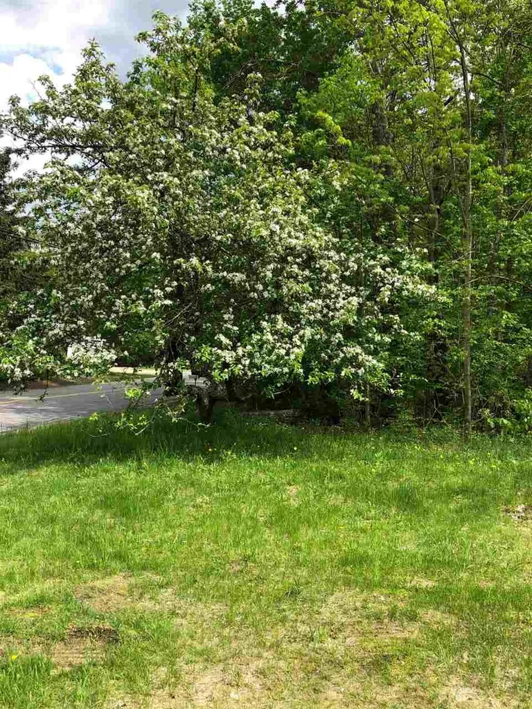 265 Dowboro Road Pittsfield NH 03263