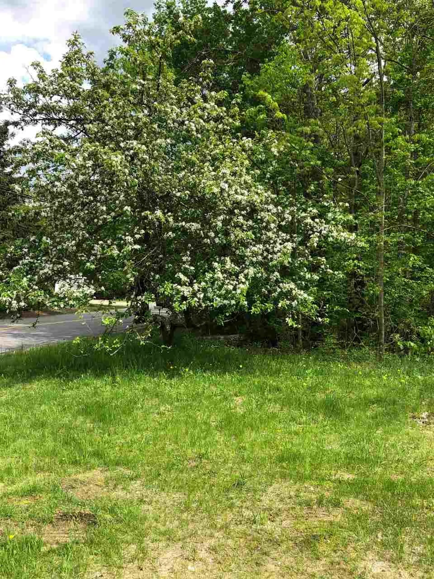 265 Dowboro Road Pittsfield NH 03263