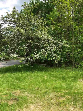 265 Dowboro Road Pittsfield NH 03263
