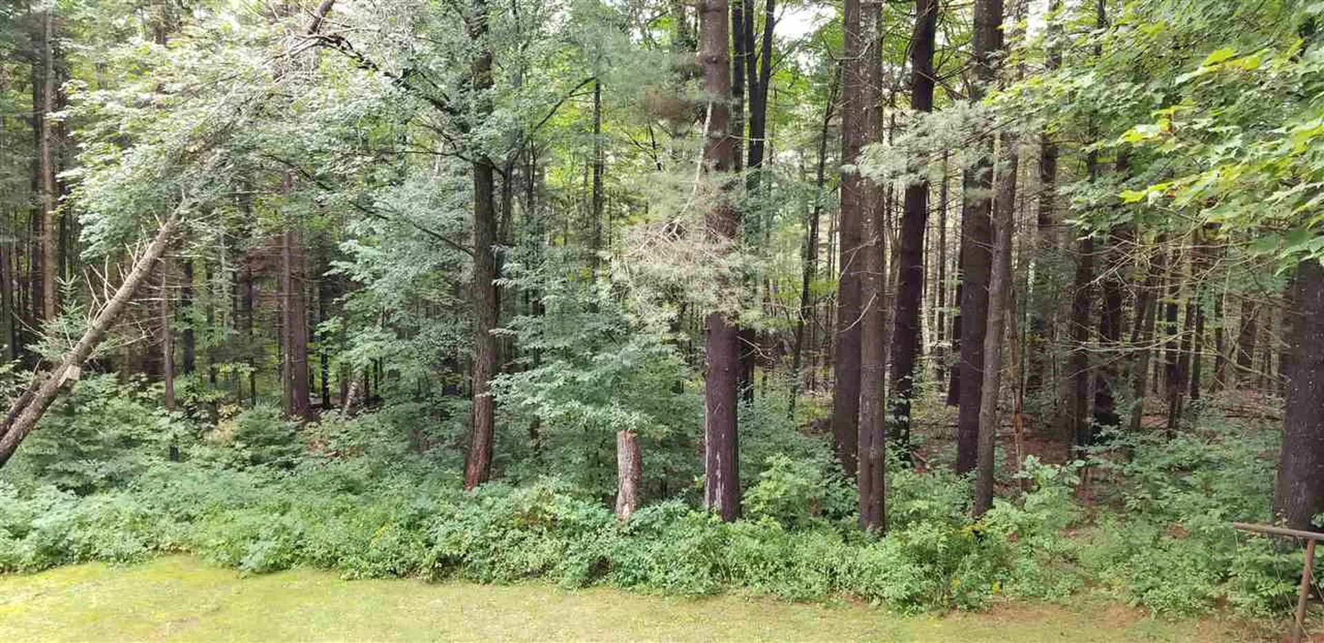492 Horsenail Hill Road Windham VT 05359