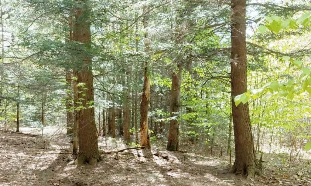 Lot 9-33-1 Page Hill Road New Ipswich NH 03071